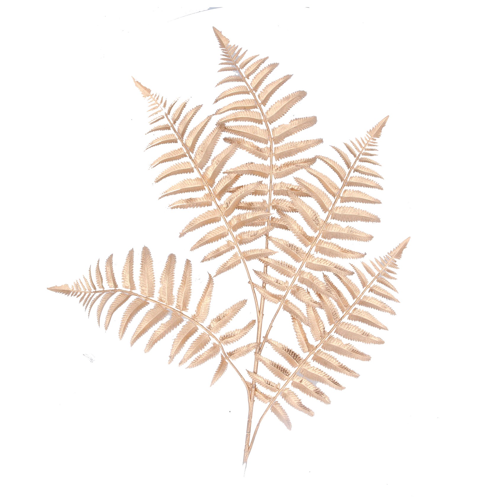 Christmas Matt Gold Fern Spray by Gisela Graham